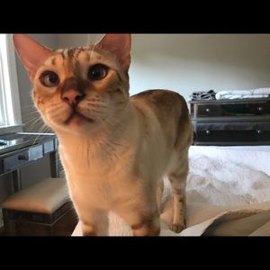 Meet your Posher, Joohee